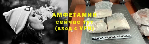 гидра Вязьма
