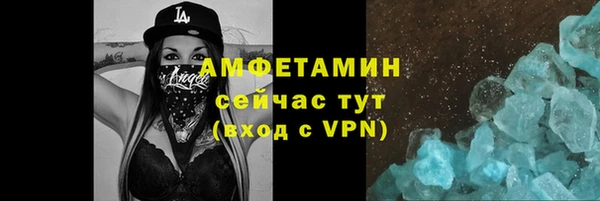 гидра Вязьма