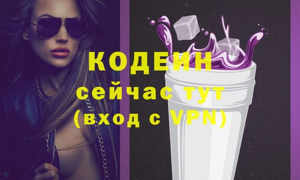 гидра Вязьма
