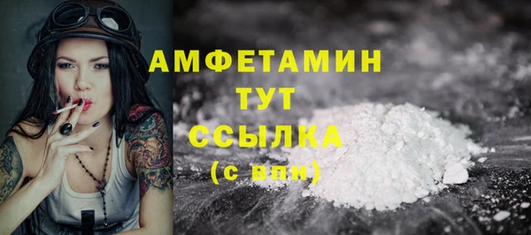 гидра Вязьма