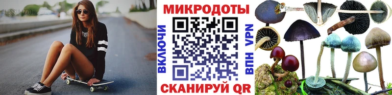 дарнет шоп  Камбарка  Галлюциногенные грибы Psilocybe 